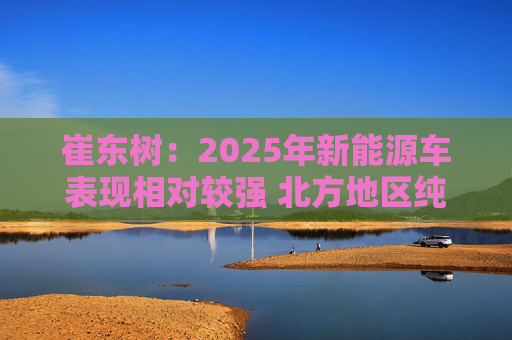 崔东树:2025年新能源车表现相对较强 北方地区纯电动占比提升明显