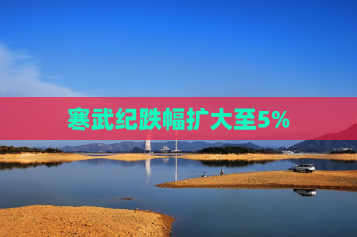 寒武纪跌幅扩大至5%