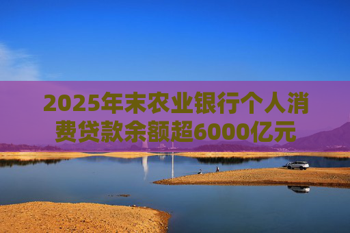 2025年末农业银行个人消费贷款余额超6000亿元