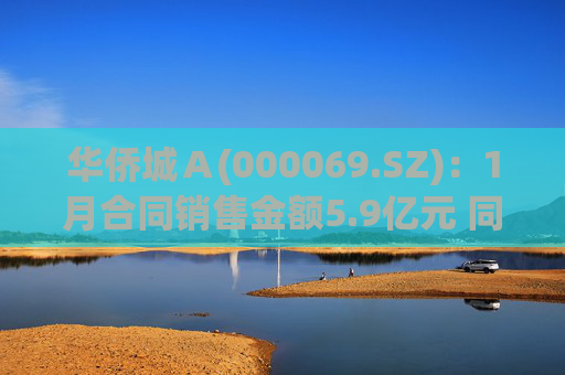 华侨城Ａ(000069.SZ)：1月合同销售金额5.9亿元 同比减少53%