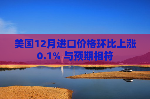美国12月进口价格环比上涨0.1% 与预期相符