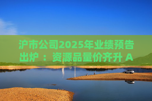 沪市公司2025年业绩预告出炉 ：资源品量价齐升 AI链景气延续