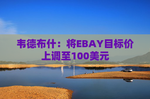 韦德布什：将EBAY目标价上调至100美元  第1张