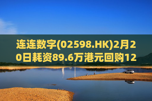 连连数字(02598.HK)2月20日耗资89.6万港元回购12.3万股