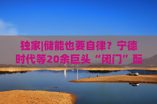 独家|储能也要自律?宁德时代等20余巨头“闭门”酝酿倡议