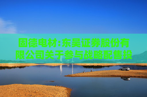 固德电材:东吴证券股份有限公司关于参与战略配售投资者的专项核查报告