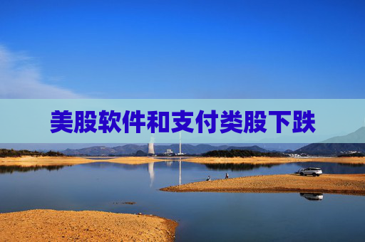 美股软件和支付类股下跌  第1张