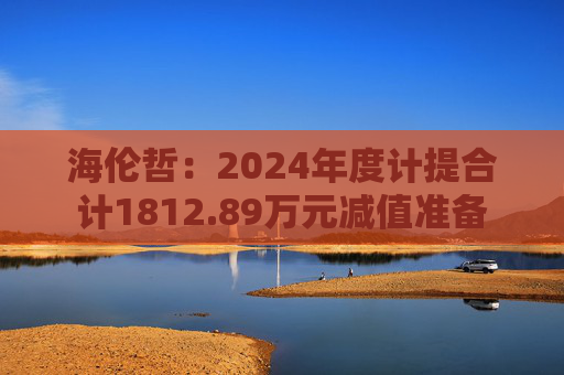 海伦哲：2024年度计提合计1812.89万元减值准备  第1张