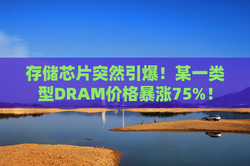 存储芯片突然引爆！某一类型DRAM价格暴涨75%！