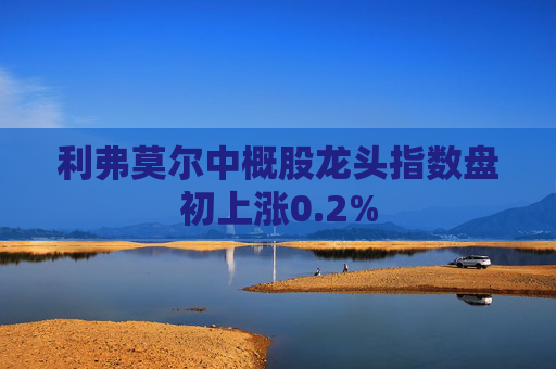 利弗莫尔中概股龙头指数盘初上涨0.2%  第1张