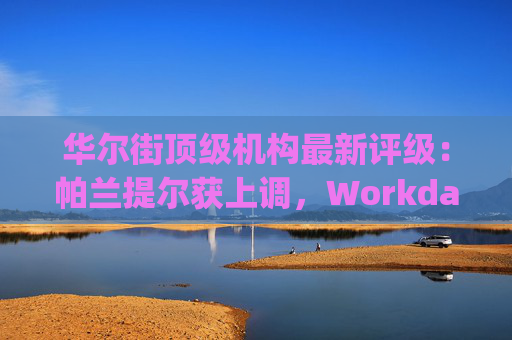 华尔街顶级机构最新评级：帕兰提尔获上调，Workday遭下调