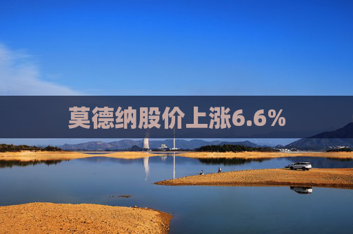莫德纳股价上涨6.6%
