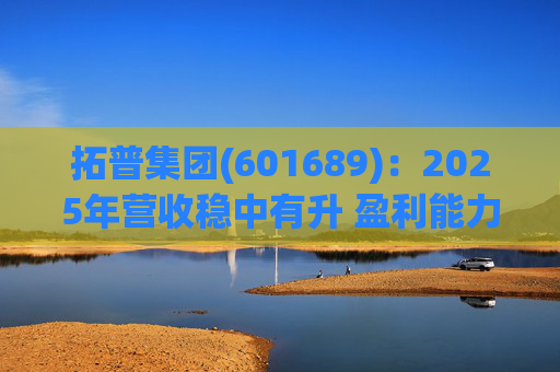 拓普集团(601689)：2025年营收稳中有升 盈利能力短期承压