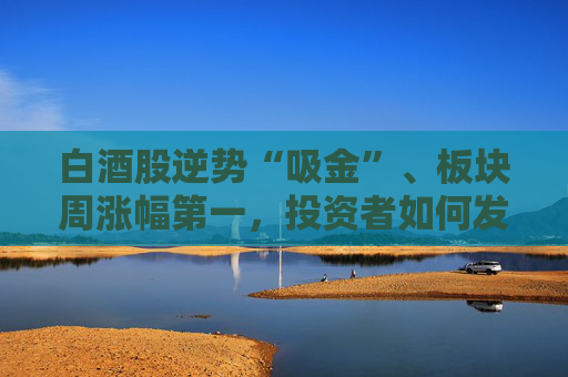 白酒股逆势“吸金”、板块周涨幅第一，投资者如何发掘舍得酒业的“质价比”