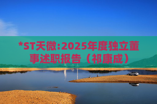 *ST天微:2025年度独立董事述职报告（祁康成）