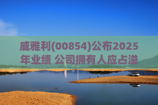 威雅利(00854)公布2025年业绩 公司拥有人应占溢利5095.8万港元