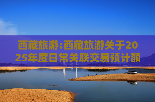 西藏旅游:西藏旅游关于2025年度日常关联交易预计额度的公告  第1张