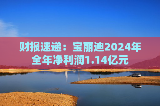 财报速递：宝丽迪2024年全年净利润1.14亿元  第1张