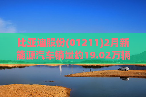 比亚迪股份(01211)2月新能源汽车销量约19.02万辆