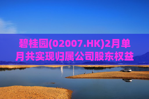 碧桂园(02007.HK)2月单月共实现归属公司股东权益合同销售金额约22.3亿元