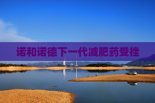 诺和诺德下一代减肥药受挫  第1张