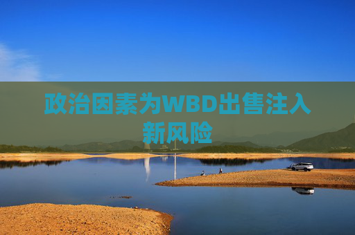 政治因素为WBD出售注入新风险