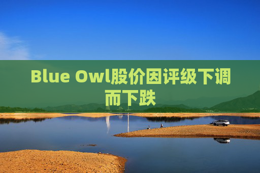 Blue Owl股价因评级下调而下跌