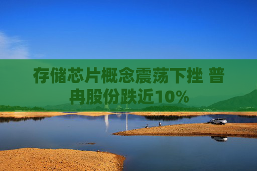 存储芯片概念震荡下挫 普冉股份跌近10%