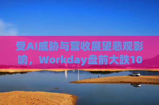 受AI威胁与营收展望悲观影响，Workday盘前大跌10%