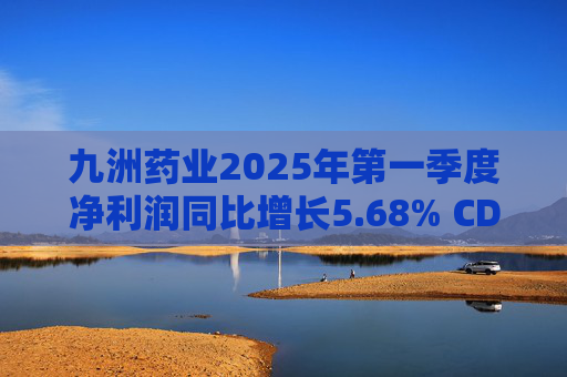 九洲药业2025年第一季度净利润同比增长5.68% CDMO业务稳步提升  第1张