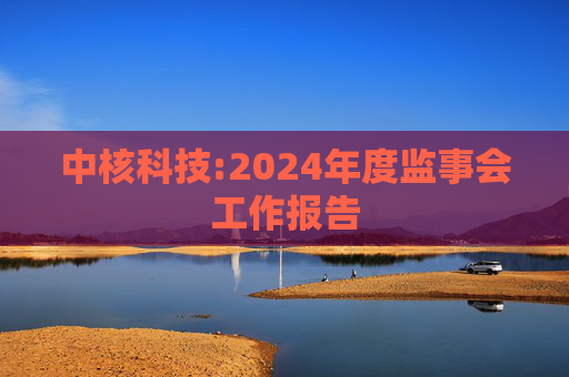 中核科技:2024年度监事会工作报告