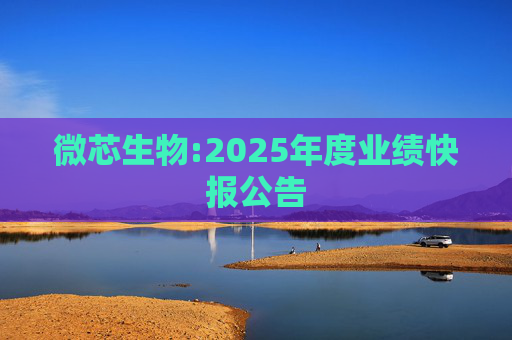 微芯生物:2025年度业绩快报公告