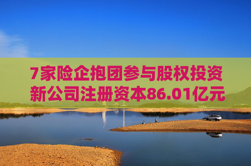 7家险企抱团参与股权投资 新公司注册资本86.01亿元 第1张 7家险企抱团参与股权投资 新公司注册资本86.01亿元 第1张