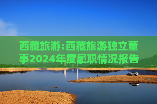 西藏旅游:西藏旅游独立董事2024年度履职情况报告(高金波)