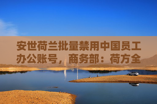 安世荷兰批量禁用中国员工办公账号，商务部：荷方全责