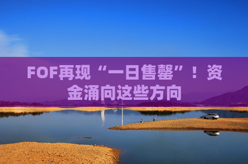 FOF再现“一日售罄”！资金涌向这些方向  第1张