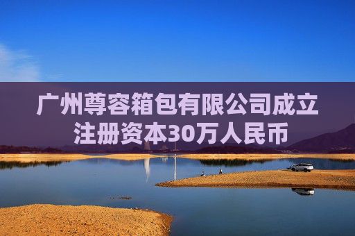 广州尊容箱包有限公司成立 注册资本30万人民币  第1张