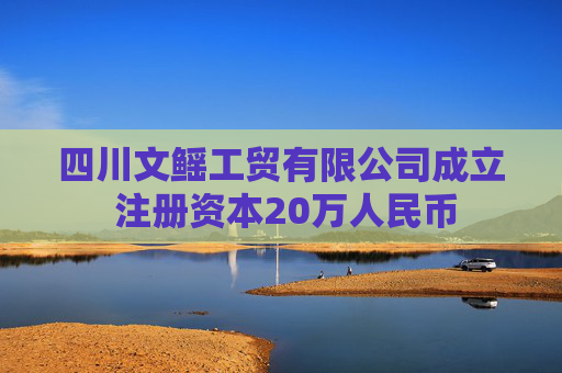 四川文鳐工贸有限公司成立 注册资本20万人民币  第1张
