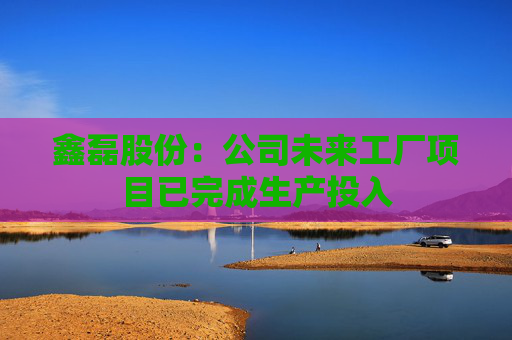 鑫磊股份：公司未来工厂项目已完成生产投入