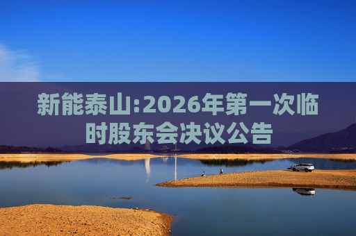 新能泰山:2026年第一次临时股东会决议公告  第1张