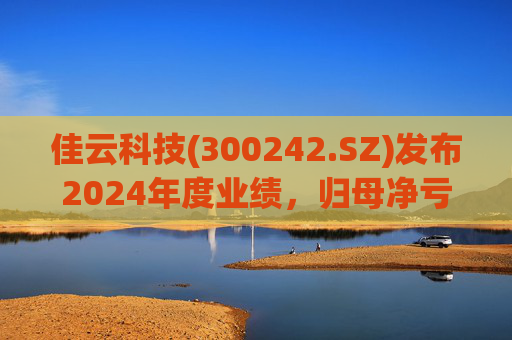佳云科技(300242.SZ)发布2024年度业绩，归母净亏损1.06亿元，扩大10.93%