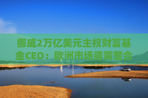 挪威2万亿美元主权财富基金CEO：欧洲市场亟需整合，"赢家通吃"