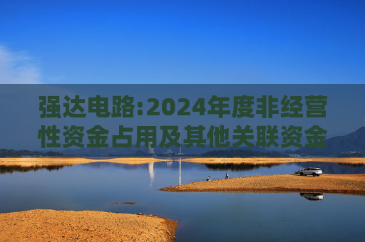 强达电路:2024年度非经营性资金占用及其他关联资金往来情况汇总表