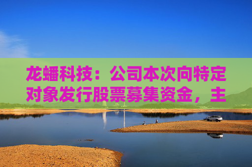 龙蟠科技：公司本次向特定对象发行股票募集资金，主要用于高性能磷酸盐型正极材料项目建设及补充流动资金
