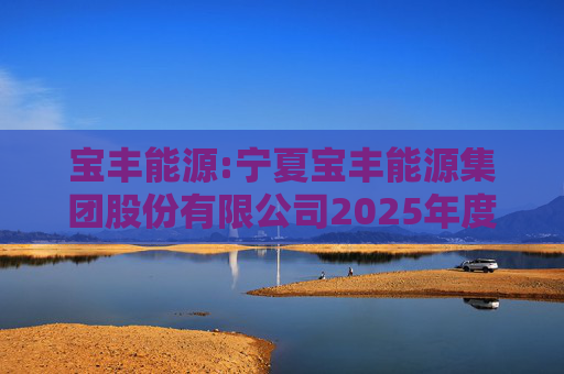 宝丰能源:宁夏宝丰能源集团股份有限公司2025年度独立董事述职报告（孙积禄）  第1张