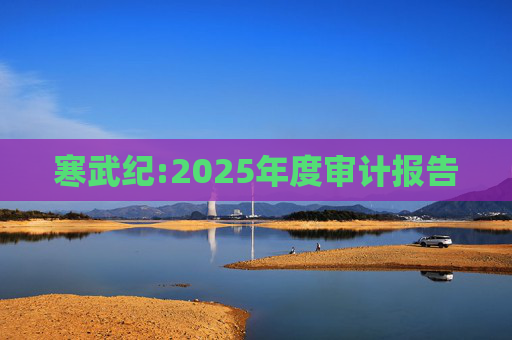 寒武纪:2025年度审计报告