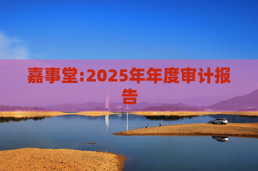 嘉事堂:2025年年度审计报告