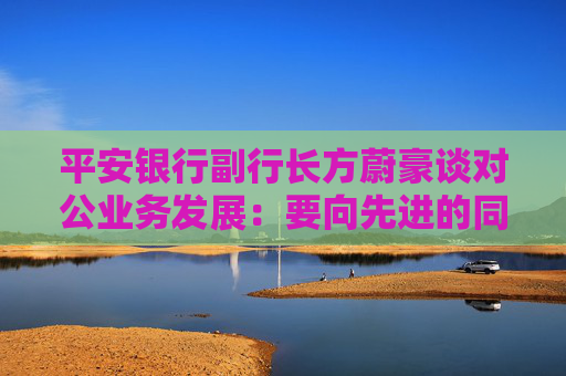 平安银行副行长方蔚豪谈对公业务发展：要向先进的同行多去学习，同时要大快步赶上