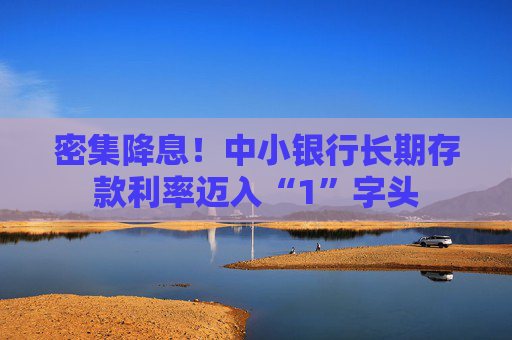密集降息!中小银行长期存款利率迈入“1”字头 第1张 密集降息!中小银行长期存款利率迈入“1”字头 第1张
