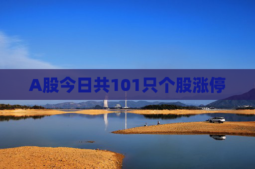 A股今日共101只个股涨停